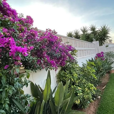 Precioso Independiente En Con Piscina Dénia